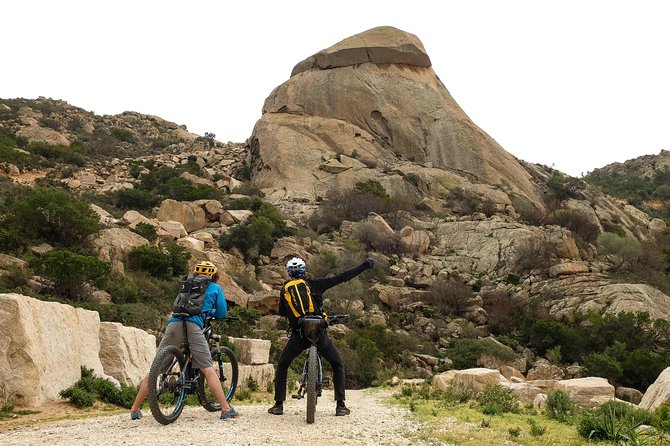From the hills to Oasi Biderosa & Capo Comino with Electric Mountain Bikes - Stop 3: Oasi Bidderosa Nature Reserve, Paths Through Junipers and Lagoons
