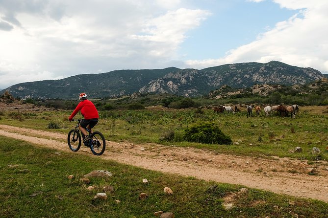 From the hills to Oasi Biderosa & Capo Comino with Electric Mountain Bikes - How the 6 Hours Typically Flow (and Why the Timing Works)