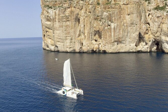 Full day Catamaran cruise in Porto Conte Natural Park - Walking, pets, and who this catamaran day is built for