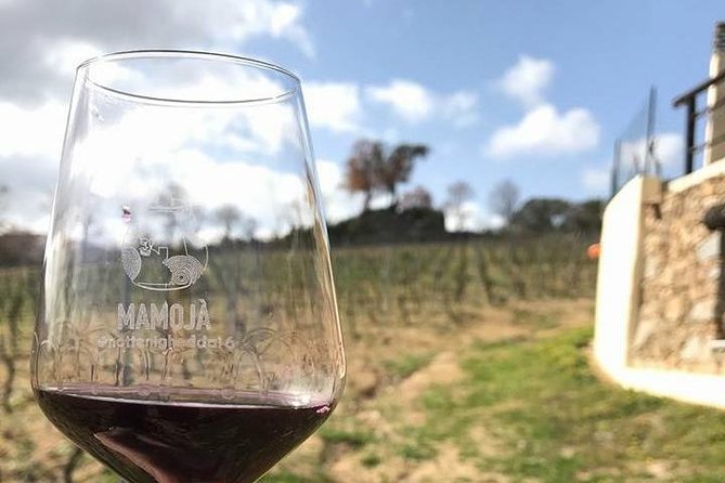 Full Day-Small group: Barbagia Experience: Mamoiada and Orgosolo from Cagliari - Who This Tour Suits Best (and Who Might Prefer Something Else)