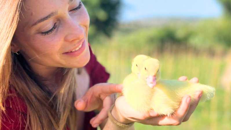 Gallura: Picnic on a Farm with Animals - Key things to know before you go