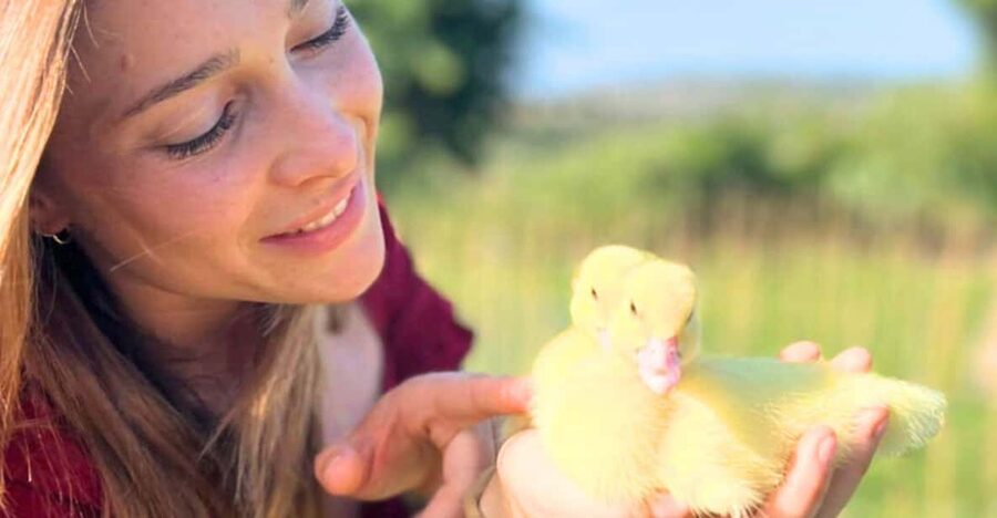Gallura: Picnic on a Farm with Animals - The 1-hour flow: arrive, meet the animals, then picnic