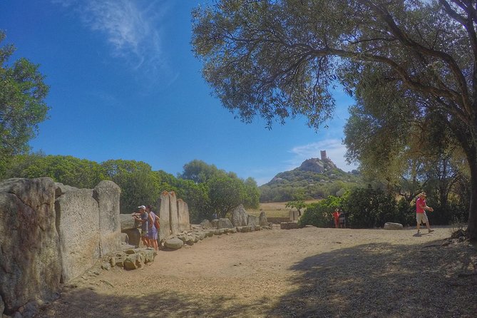 Gallura, Vermentino & Costa Smeralda - A One-Day Gallura-to-Costa Smeralda Route Without the Driving Headache