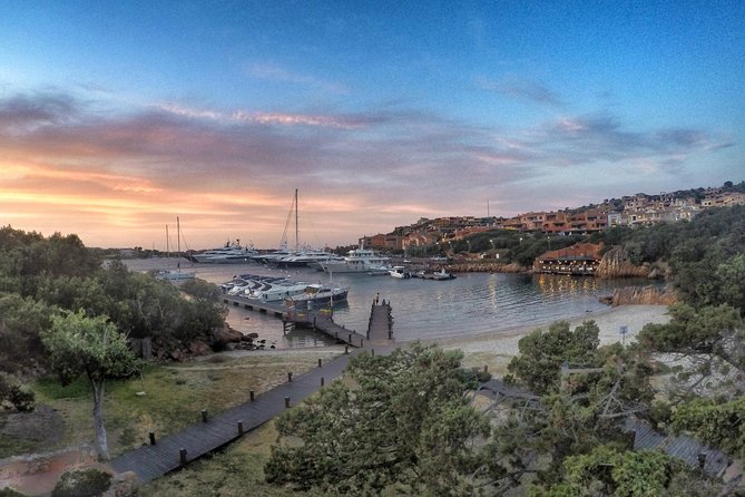 Gallura, Vermentino & Costa Smeralda - Price and Logistics: Is $150.51 Worth It?