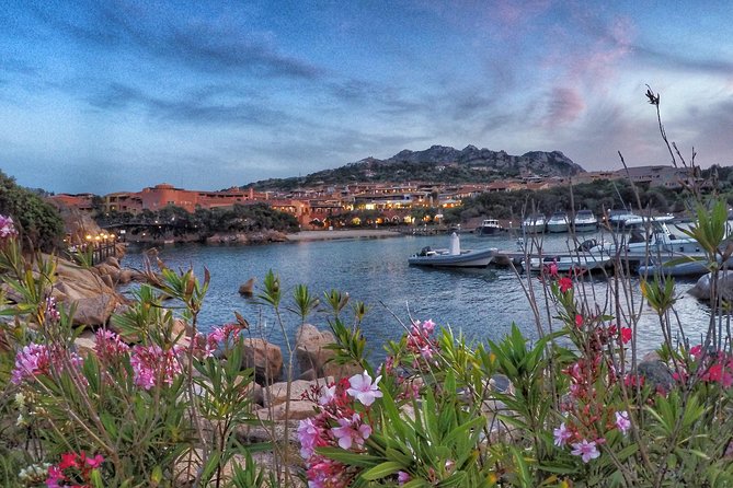 Gallura, Vermentino & Costa Smeralda - Should You Book This Sardinia Day Trip?