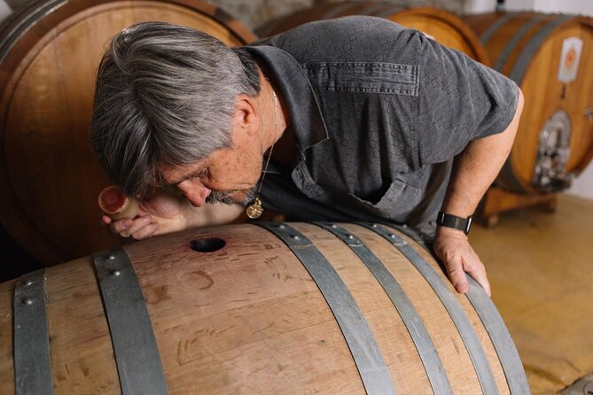 Gallura Winery with Wine Tasting in Olbia - Wine Tasting Meets Sardinian Pairings and Winemaking Stories