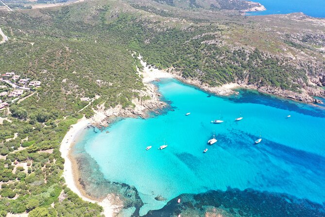 Get your Boat Tour with PRISCILLA to the best Cagliari Coves". - Crew and Communication: English guidance plus real-time fixes