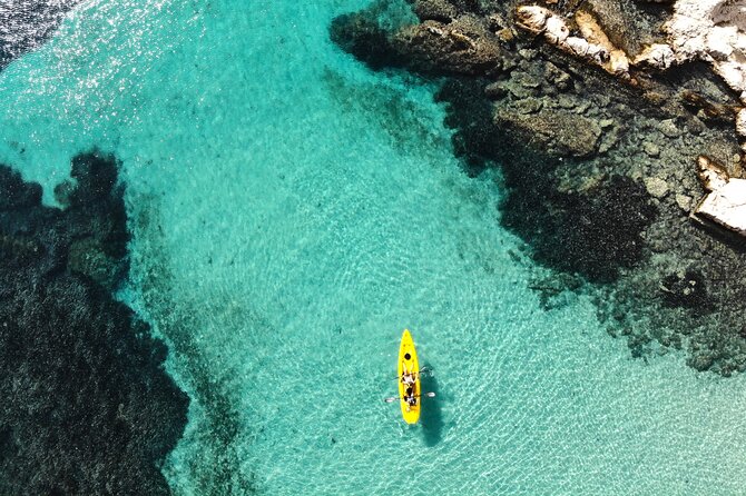 Golfo Aranci: Kayak tour with aperitif&dolphin sighting (max 9 Pax) - Key points that make this tour worth your time