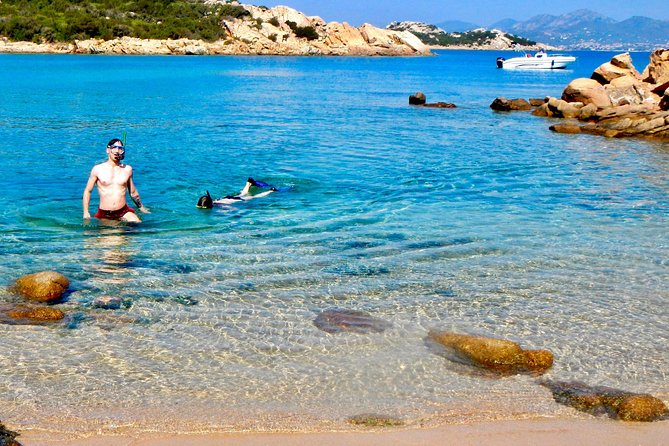 Golfo di Olbia and Dolphins Island Private Boat Tour - Price and value: why $464.65 can make sense (or not)