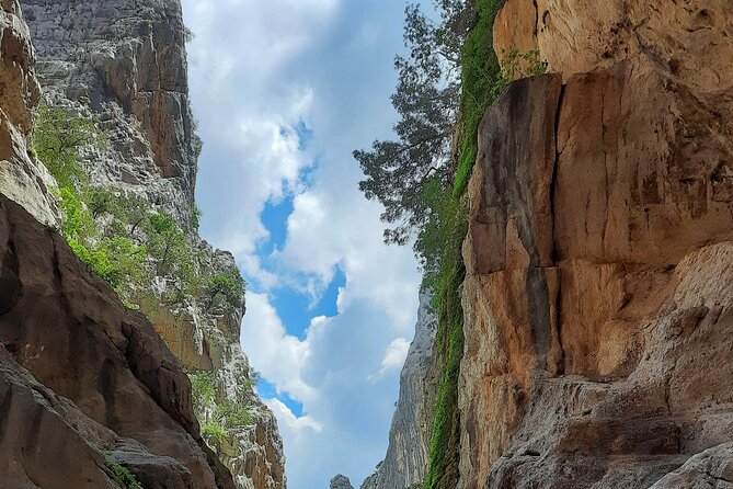 Gorropu canyon guided hike - The drive and river-to-woodland start (where your day really begins)