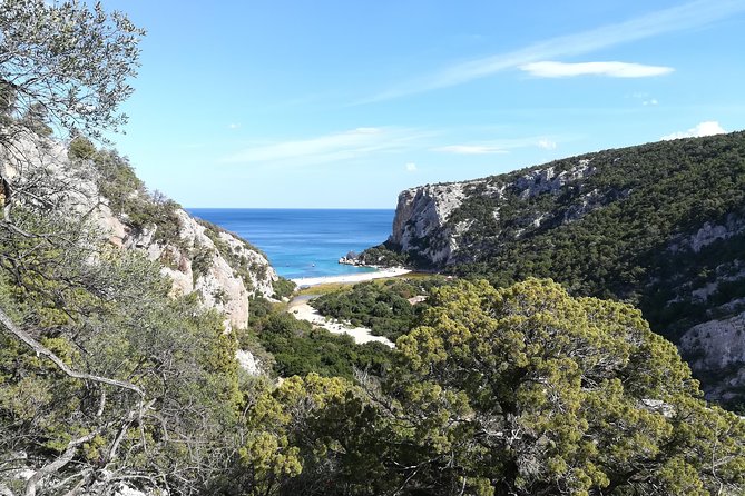 Guided hike to Cala Luna, the pearl of the Gulf of Orosei - Codula di Luna: the gorge to the beach moment