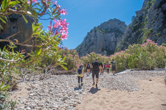 Guided hike to Cala Luna, the pearl of the Gulf of Orosei - Optional boat to Cala Gonone: fewer stairs, more sea time