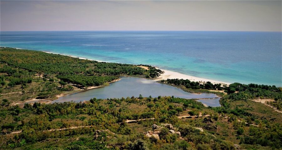 Gulf of Orosei: 4X4 tour between Mountains & Beaches - Capo Comino beach time: swim, stroll, and marine life