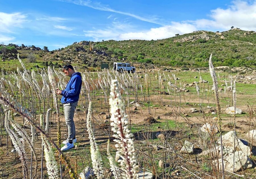 Gulf of Orosei: 4X4 tour between Mountains & Beaches - Price and value: why this tour can be a good deal
