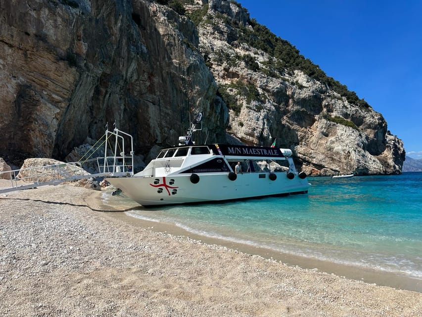 Gulf of Orosei: Grotta del Bue Marino & Cala Luna Boat Tour - Key things to know before you go