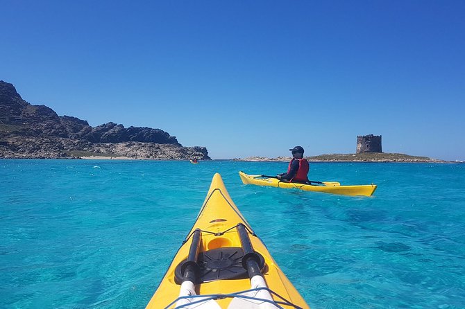 Half Day Sea Kayak Trip - Key highlights worth your attention