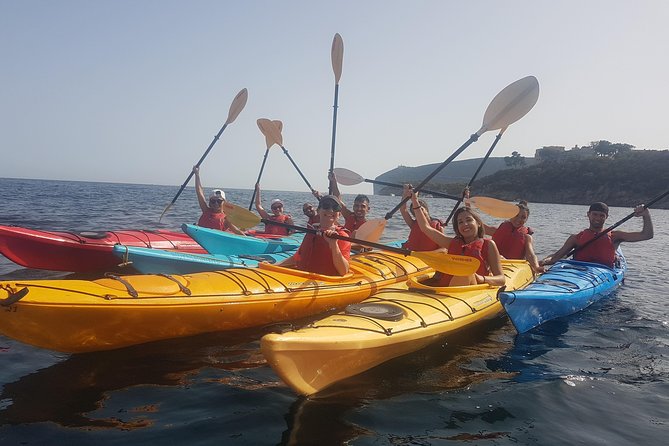 Half Day Sea Kayak Trip - Sardinia sea kayaking from Alghero: what makes it so appealing