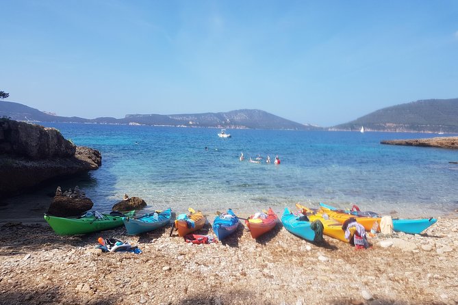 Half Day Sea Kayak Trip - Group size, fitness, and kayak choice: who should book