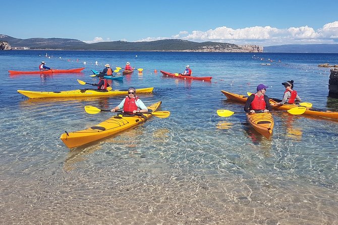 Half Day Sea Kayak Trip - Entering the water: instruction, gear, and the guide-led flow