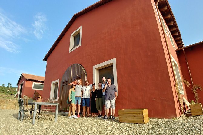 Half-Day Small-Group Wine Experience with Wine Expert from Cagliari - What you’ll taste: Sardinian classics and the tasting-table logic
