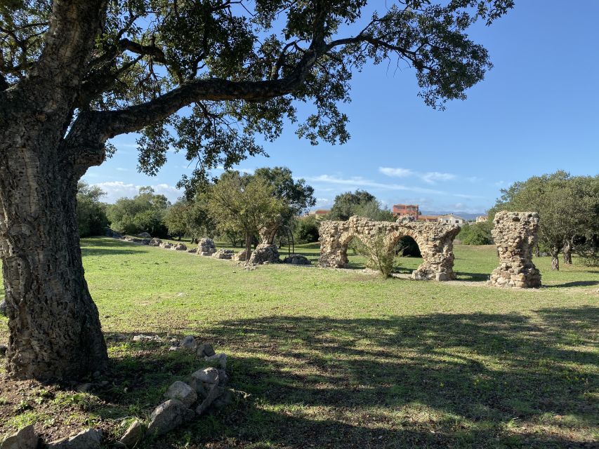 Journey Through Time - Discover Sardinia's Ancient Treasures - Key Highlights You’ll Actually Care About