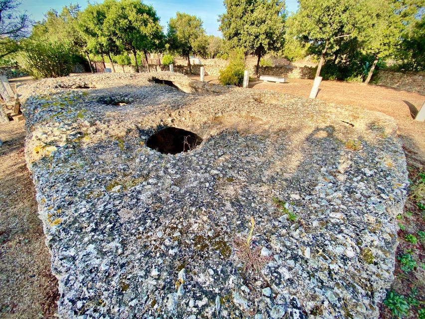 Journey Through Time - Discover Sardinia's Ancient Treasures - Value and price: what you really get for about $102