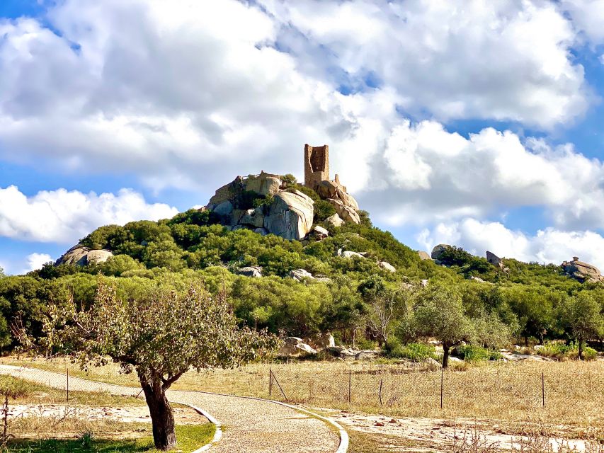 Journey Through Time - Discover Sardinia's Ancient Treasures - Basilica di San Simplicio: granite Romanesque and three building phases