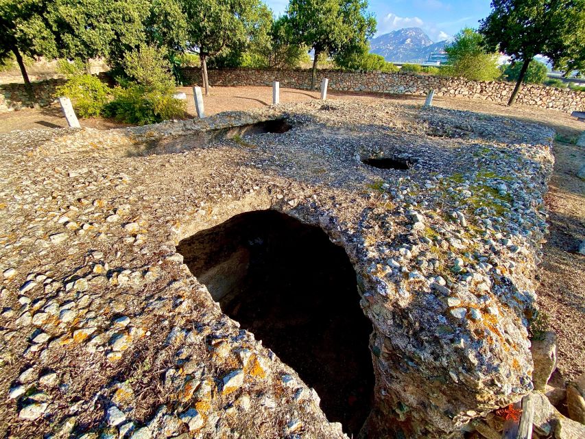 Journey Through Time - Discover Sardinia's Ancient Treasures - Castello di Pedres: fortress views plus a step-heavy reality check