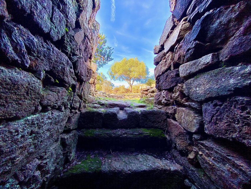 Journey Through Time - Discover Sardinia's Ancient Treasures - Parco Fausto Noce and the return to Molo Brin