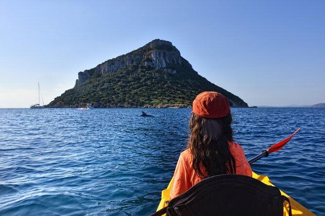 Kayak tour with aperitif and dolphins - Key points before you paddle