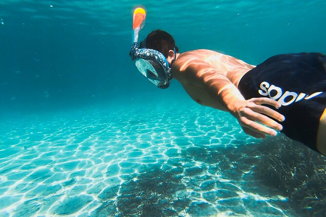 Kayak tour with aperitif and dolphins - Price and value: what $54.42 buys you in real terms