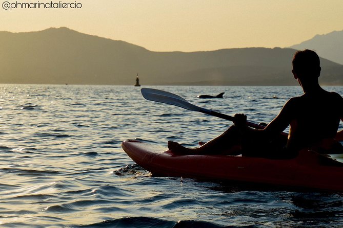 Kayak tour with aperitif and dolphins - Guides and group size: the human factor (and why it can vary)