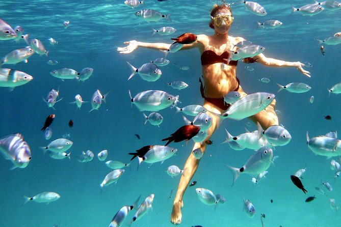 Kayak Tour with Snorkeling and Local Aperitif - Stop 2: Spiaggia Capo Coda Cavallo, snorkeling in clear shallow water, and fruit on the rocks