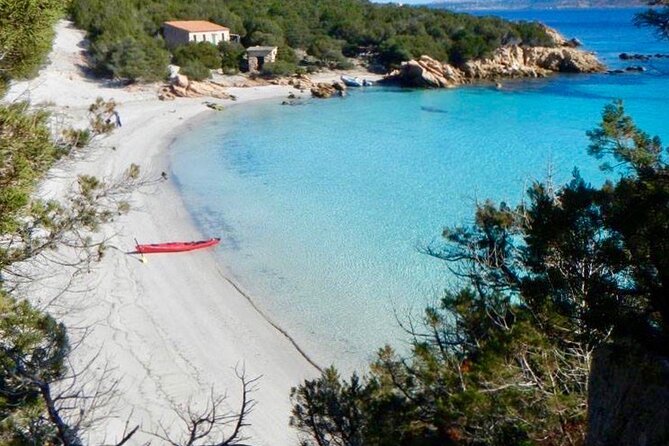 Kayak Tour with Snorkeling and Local Aperitif - Wildlife spotting without the pressure