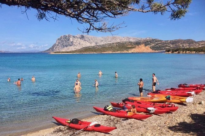 Kayak Tour with Snorkeling and Local Aperitif - Price and value: what $66.54 includes (and what you get for it)
