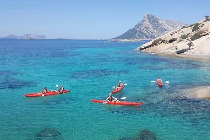 Kayak Tour with Snorkeling and Local Aperitif - Who should book, and who should think twice