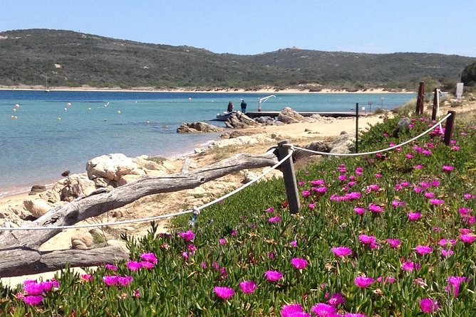 La Mad DA Lena: Afternoon snorkeling excursion from Porto Pollo. - Price and value: what $108.14 buys you