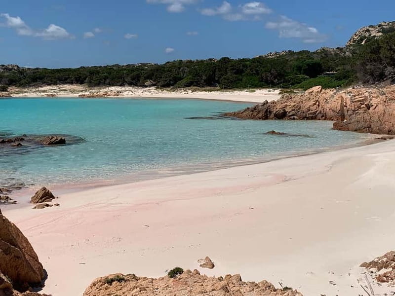 La Maddalena: daily sailing tour archipelago La Maddalena - Lunch and Drinks On Board: Sardinian Food That Actually Looks Like a Meal