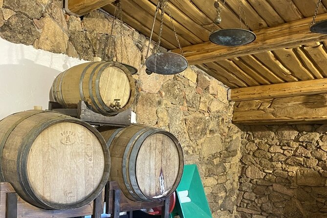 LONGEVITY TOUR: Pasta Class&BlueZone Secrets with Simonetta Bazzu - Wine tasting and the village cellar: eternal youth, in small steps
