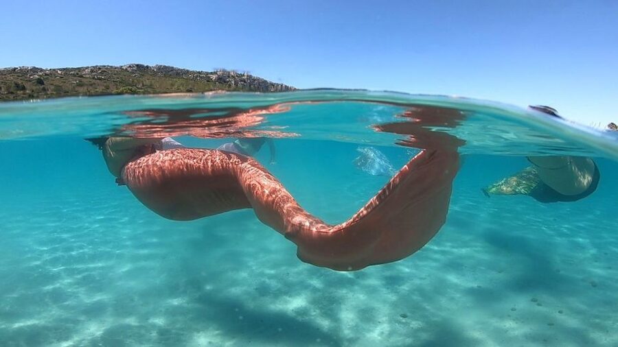 Mermaid Experience - Meet your instructor: the human factor (and what the reviews highlight)