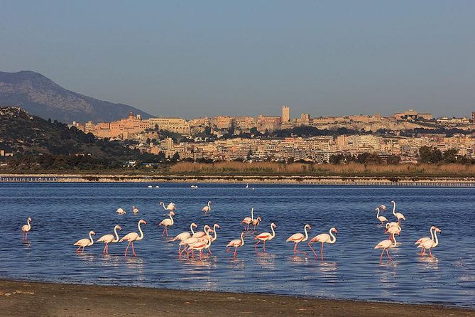 Nora Tour from Cagliari - Chiesa di Sant’Efisio: a church visit with a long tradition