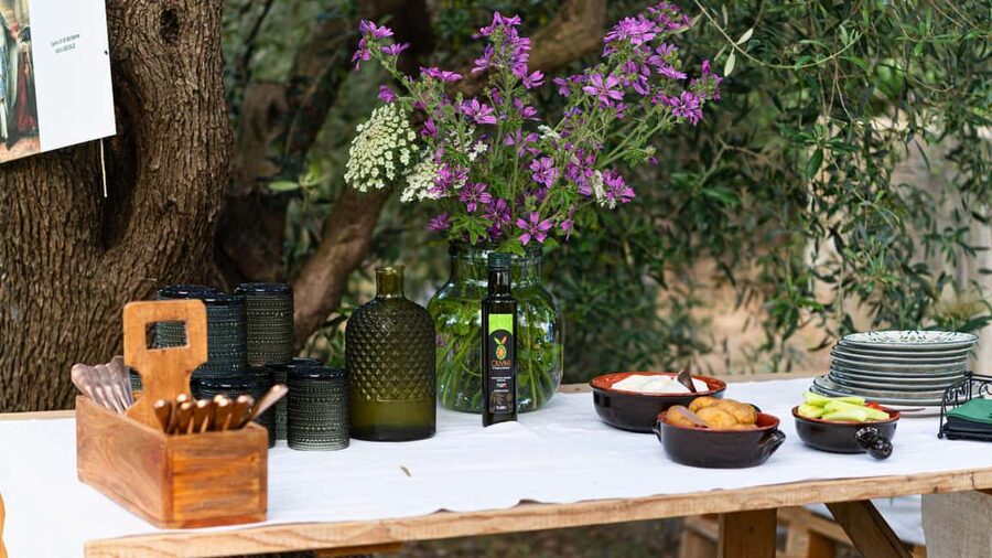 Nuoro: Visit an oil mill with oil tasting - Guided EVO tasting outdoors: how to recognize good oil