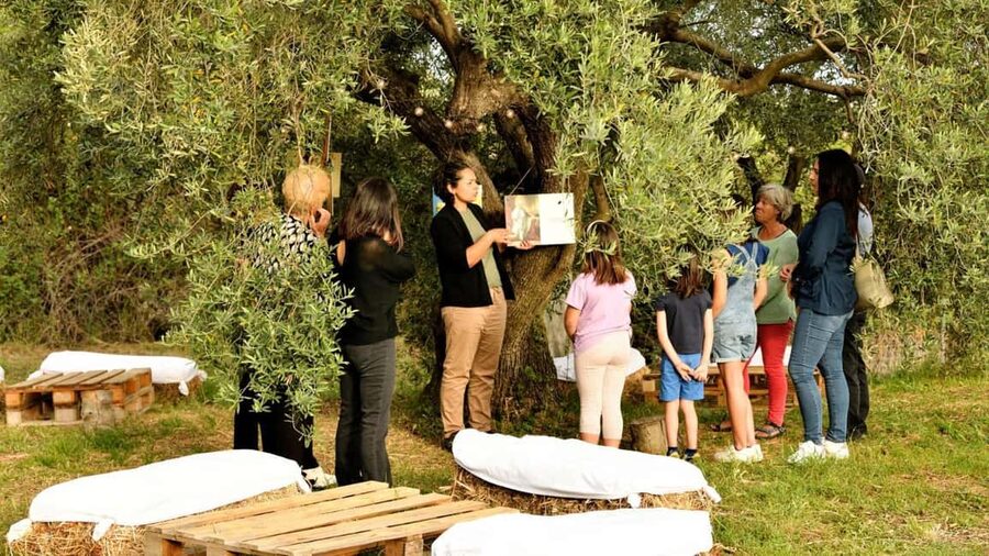 Nuoro: Visit an oil mill with oil tasting - Pairing Ogliastra flavors: bread, culurgiones, casu ascedu, and desserts