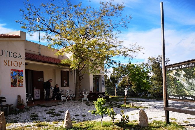 Off-road tour in the Supramonte and visit to Pischina Gurthàddala - Key highlights you’ll feel fast