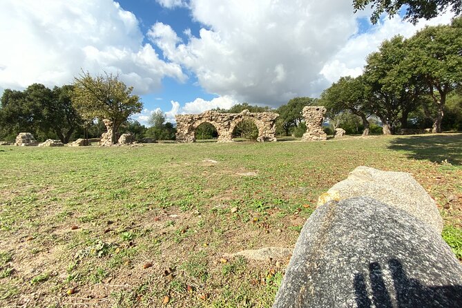 Olbia : Ancient Sardinia Archaeological Tour + pickup included - Start Point Reality Check: Cruise Passengers vs Hotel Pickups