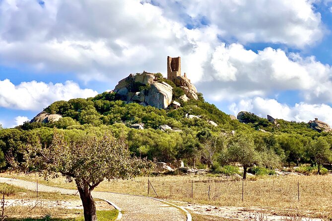 Olbia : Ancient Sardinia Archaeological Tour + pickup included - What You Actually Get for $132.17: Value, Admissions, and Time Control