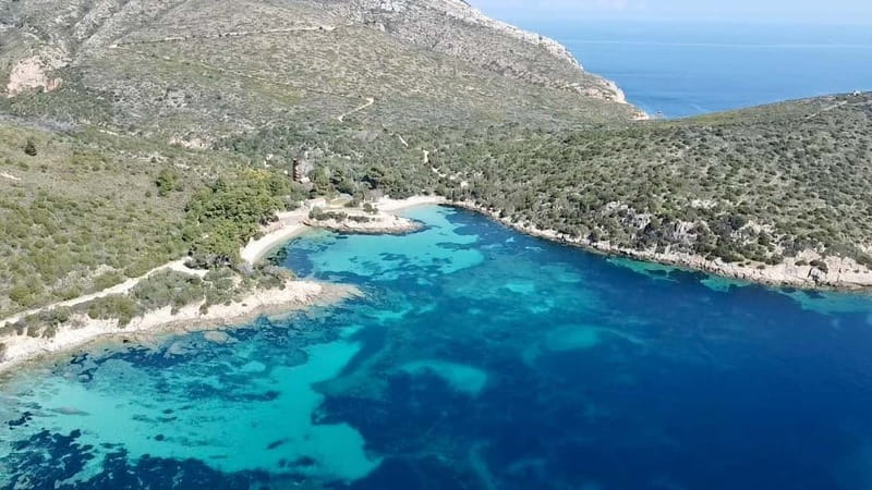 Olbia: Boat tour to watch Dolphins and snorkeling - Who should book this dolphin + snorkeling tour?