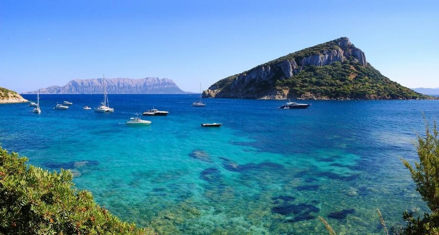 Olbia: Dolphin Watching and Snorkeling Boat Tour - Dolphin Watching Near the Fish-Farm Area: What You Should Know