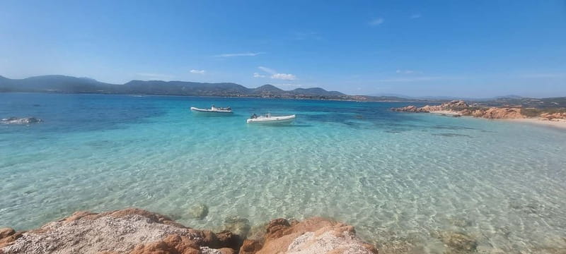 Olbia: Dolphin Watching & Swim and snorkel in Capo Figari - Key points to know before you go