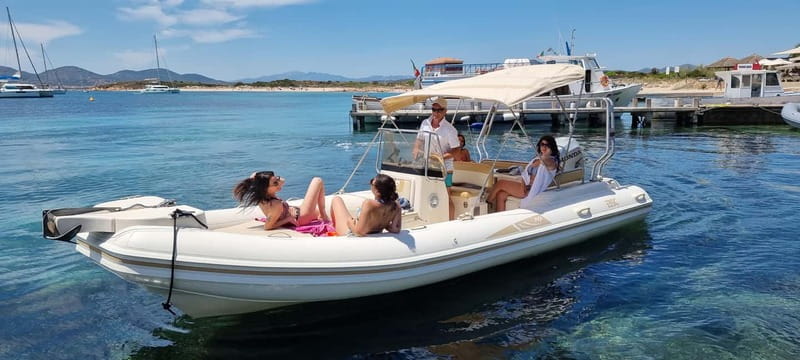 Olbia: Dolphin Watching & Swim and snorkel in Capo Figari - The 3.5-Hour Plan: Speedboat Out, Wildlife Time, Snorkel Break